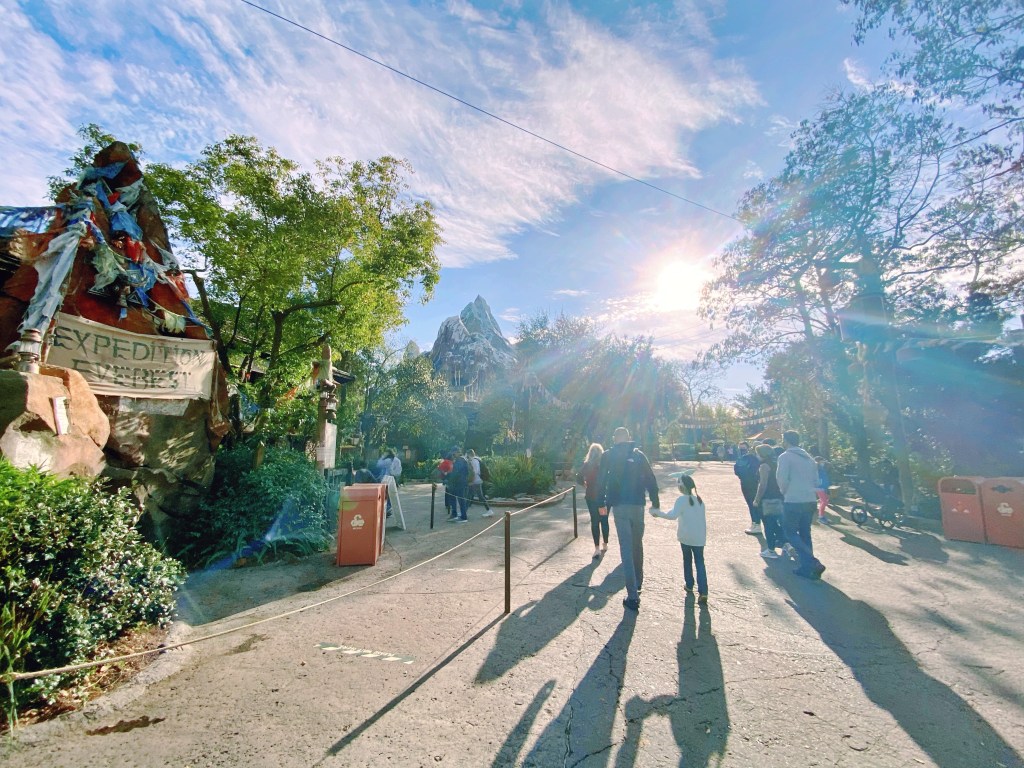 Lions, Tigers, Bears…too basic? Come travel Animal Kingdom with&nbsp;me!